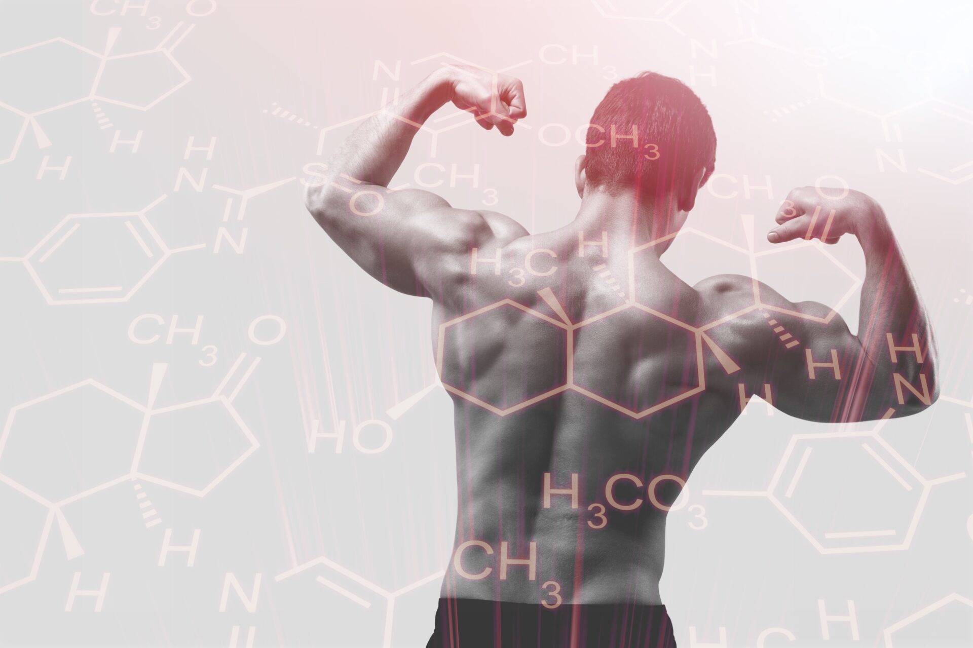 semax bodybuilding