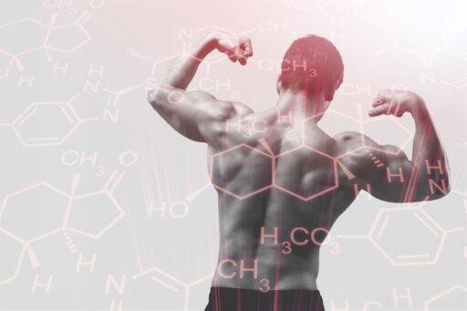 semax bodybuilding